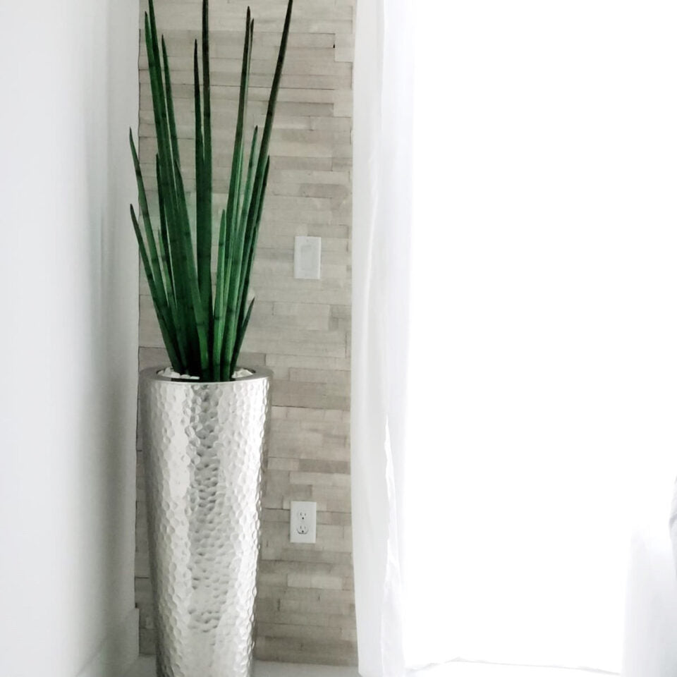 Hammered Cone with 4ft Snake Grass