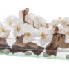 24″ Casa Moderna Glass Plate Planter with white orchids