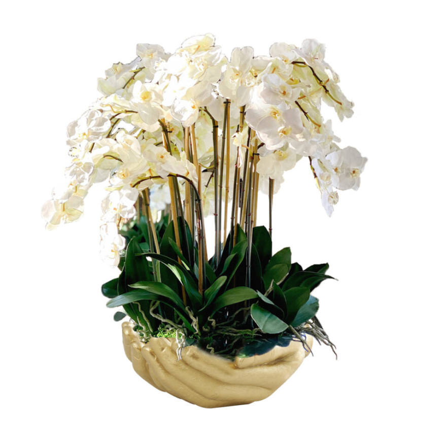 White Phalaenopsis Orchids in Gold Open Hands Sculpture Vase
