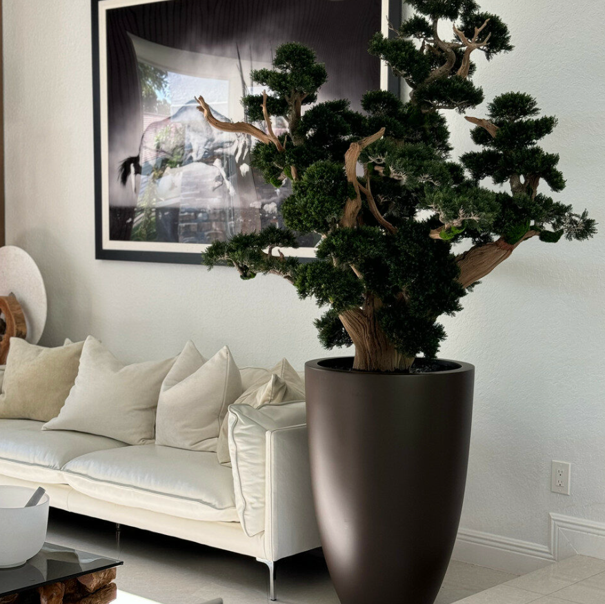 Oversized Bonsai in Matte Brown Brannan Planter