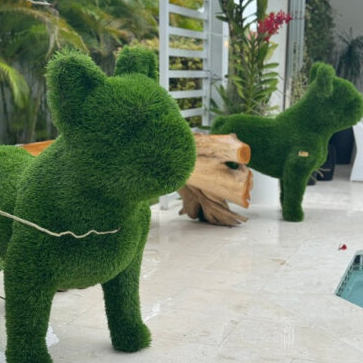 French Bulldog (Tilted Head)