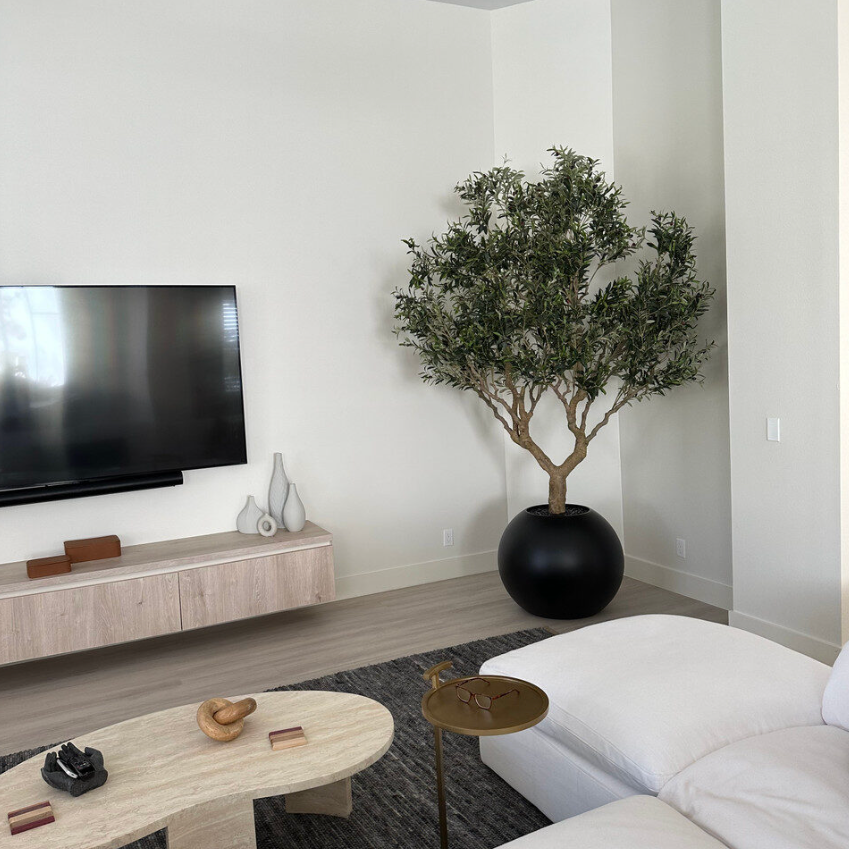 Olive Tree in Matte Black 76 cm Globe Planter