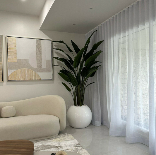 Bird of Paradise in White Glossy Globe Planter