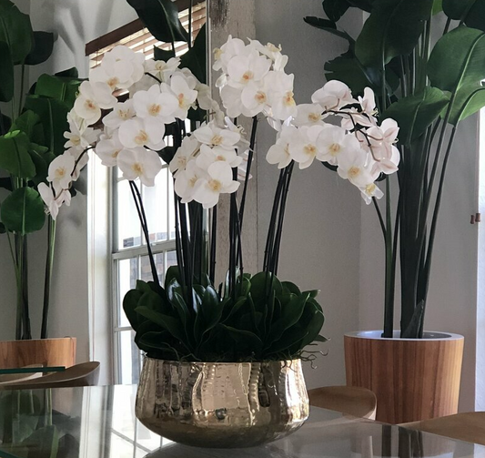 Phalaenopsis Orchids Floral Arrangement in Large Gold Planter