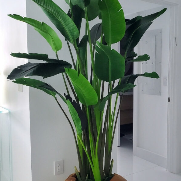 Large Ship-Shape Teak Planter with Large Bird of Paradise Flower