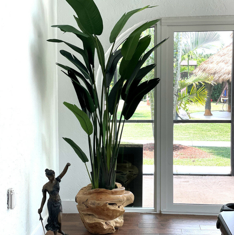 Large Ship-Shape Teak Planter with Large Bird of Paradise Flower