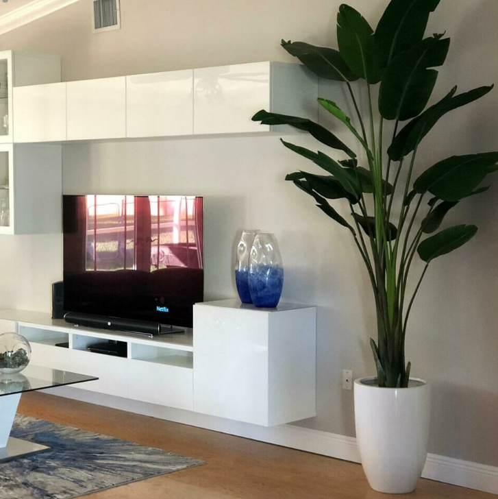 2.70 m Bird of Paradise with Ben Planter in Glossy White