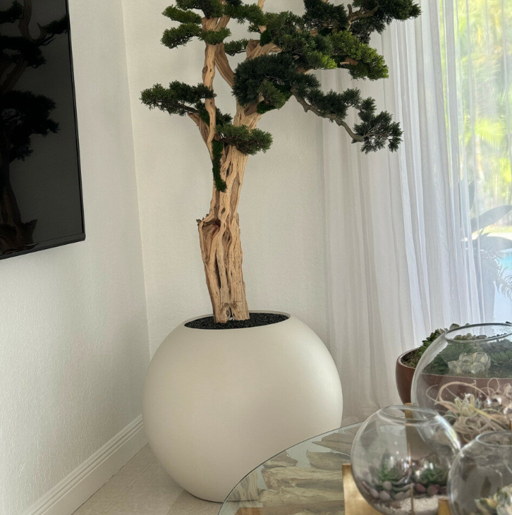Bonsai in a 75 cm Satin Beige Globe Planter
