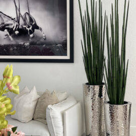 Silver Hammered Stainless Steel Tapered Cone with Medium Snake Grass Plant