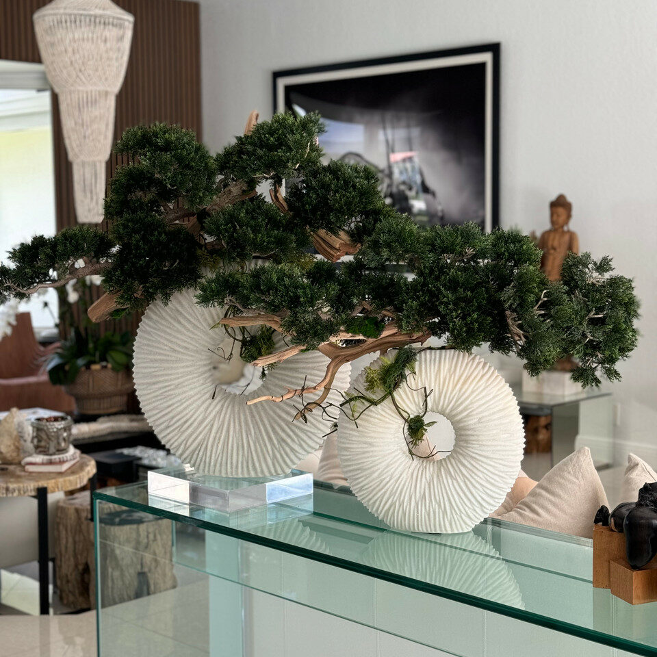 Medium Eternity Vase with Trailing Bonsai Tree and Driftwood