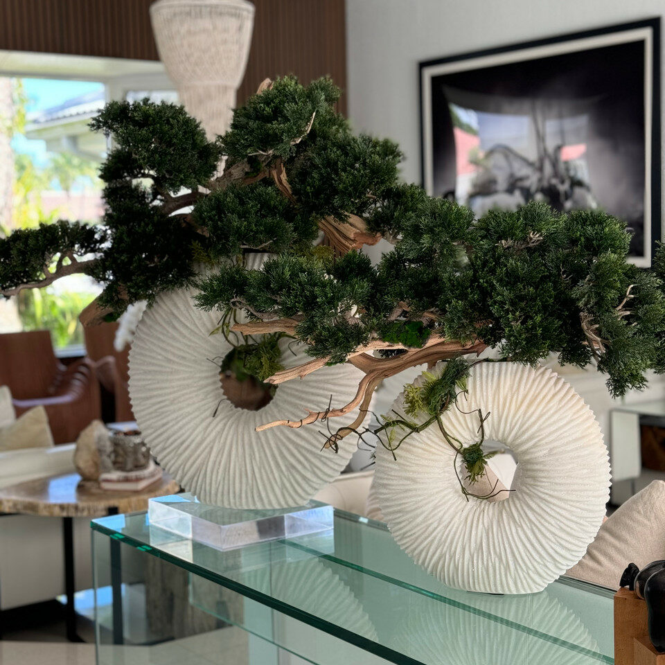 Medium Eternity Vase with Trailing Bonsai Tree and Driftwood