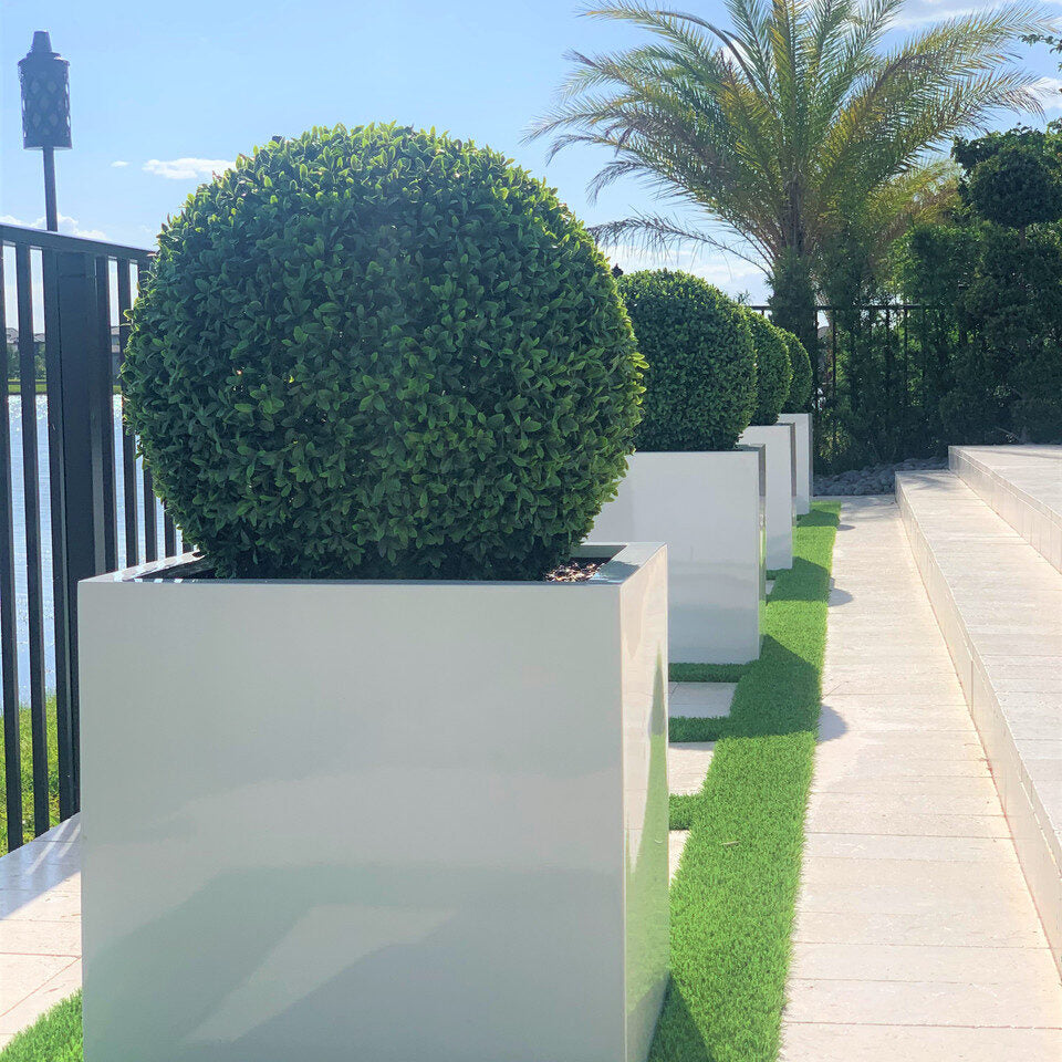 Large Block Fiberglass Planter with 20″ Topiary				
(1 in Stock)