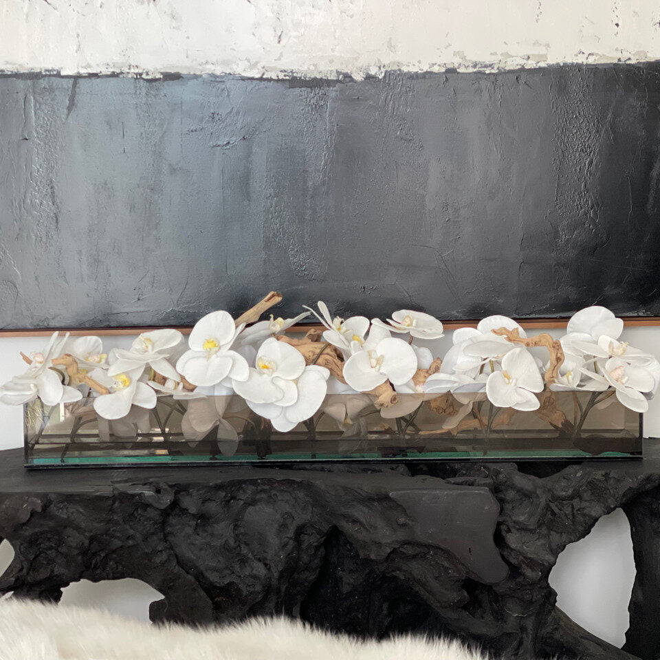 48″ Casa Moderna Black Tinted Glass Plate Planter with white Phalaenopsis orchids