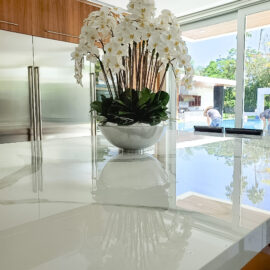 Avenue Bowl with White Phalaenopsis Orchids