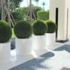 20″ Topiary with Max Fiberglass Vase