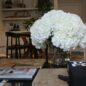 White Hydrangea Bouquet in clear glass cylinder vase
