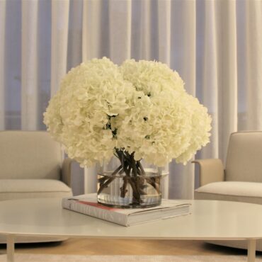 White Hydrangea Bouquet in clear glass cylinder vase