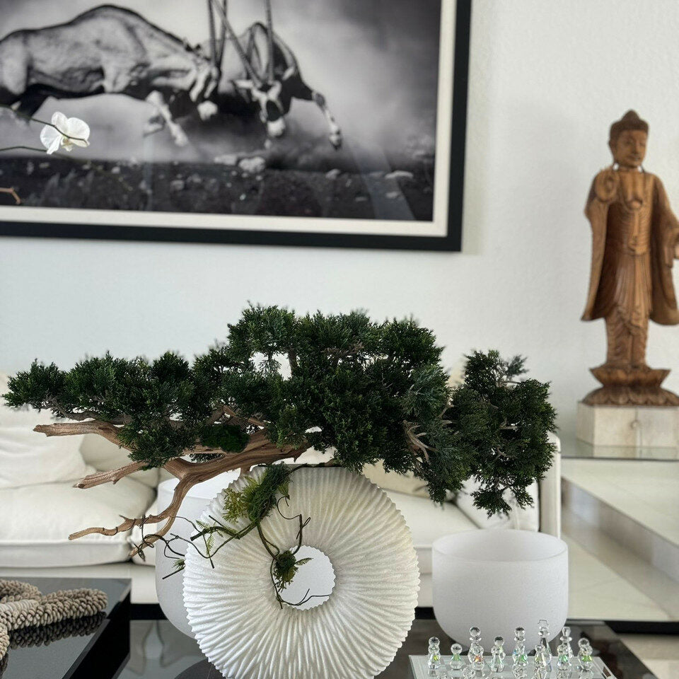 Medium Eternity Vase with Trailing Bonsai Tree and Driftwood