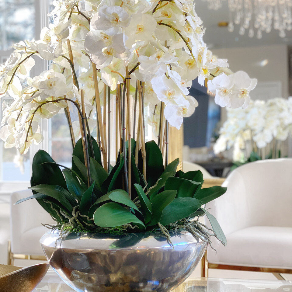 Avenue Bowl with White Phalaenopsis Orchids